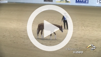 Play video